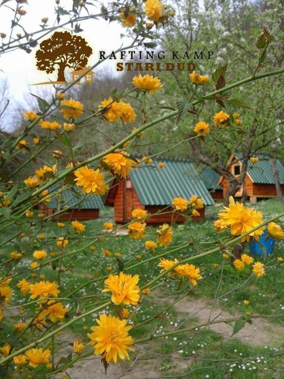 Camping Rafting Stari Dud 2*